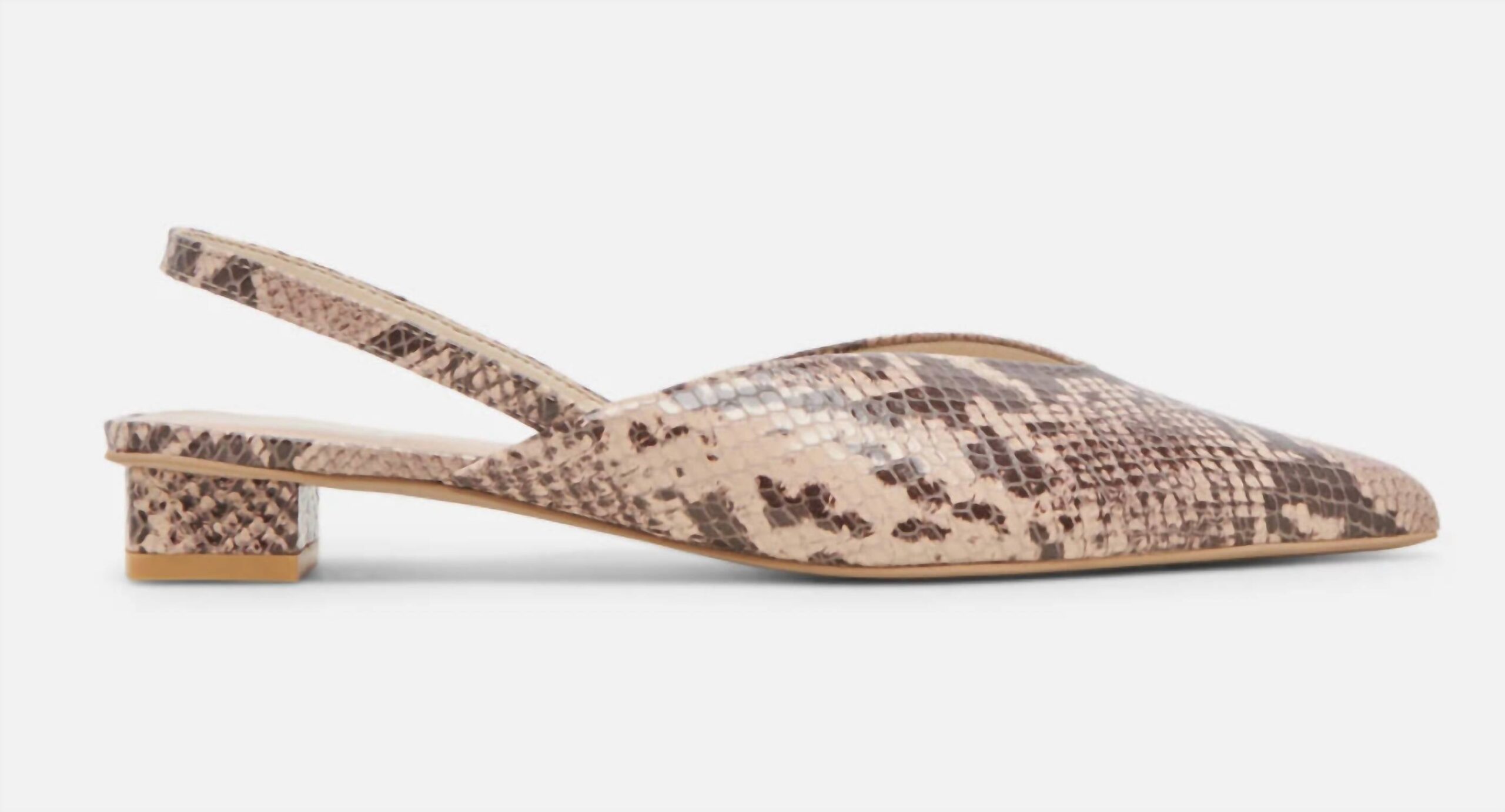 b723e739-c8fb-4e97-ace4-d823c196bd68-upscale_15k-1500x1500-70 Dolce Vita - Women's Byanca Petite Heel - Image 1